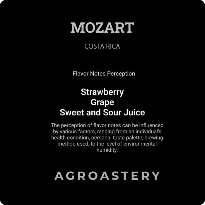 Biji Kopi Seduh Manual - MOZART